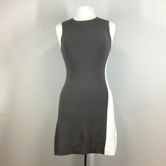 Theory Dresses & Skirts - Theory Branteen Prosecco Sleeveless Knit Colorblock Dress Size P/TP